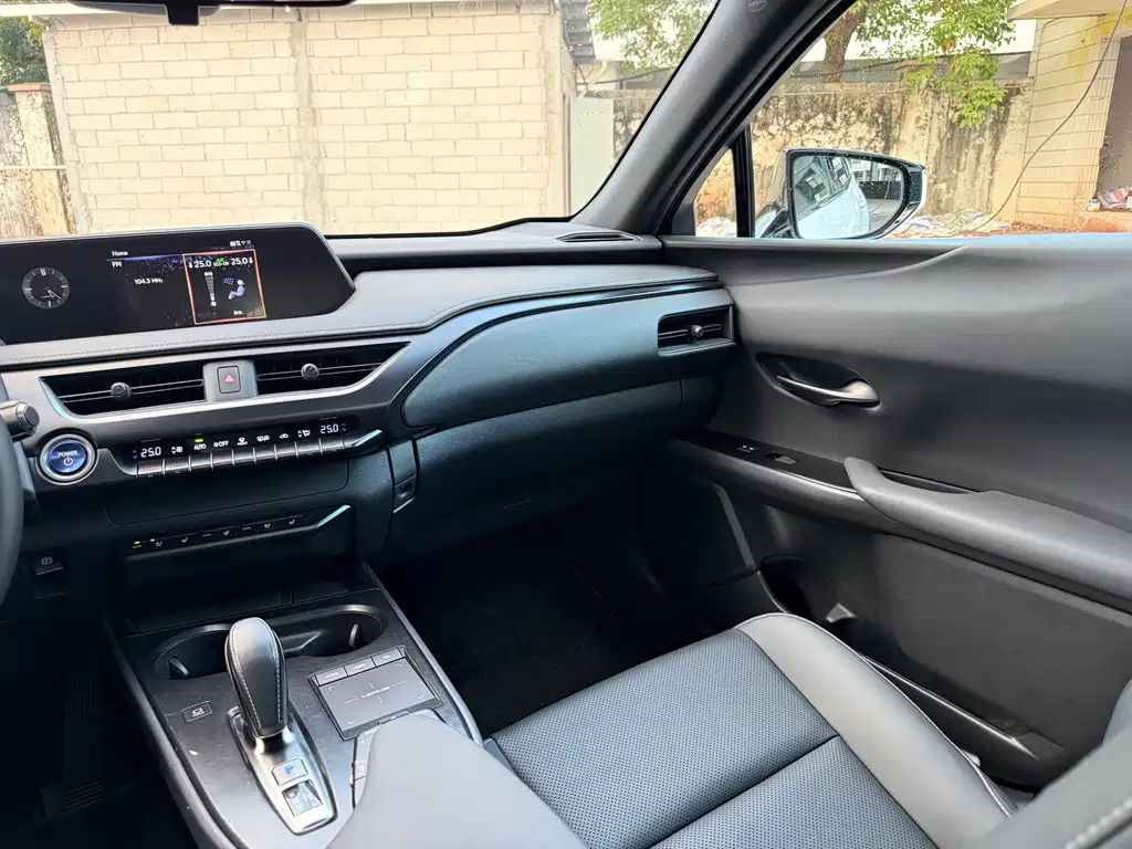 Lexus UX New Energy — фото 8