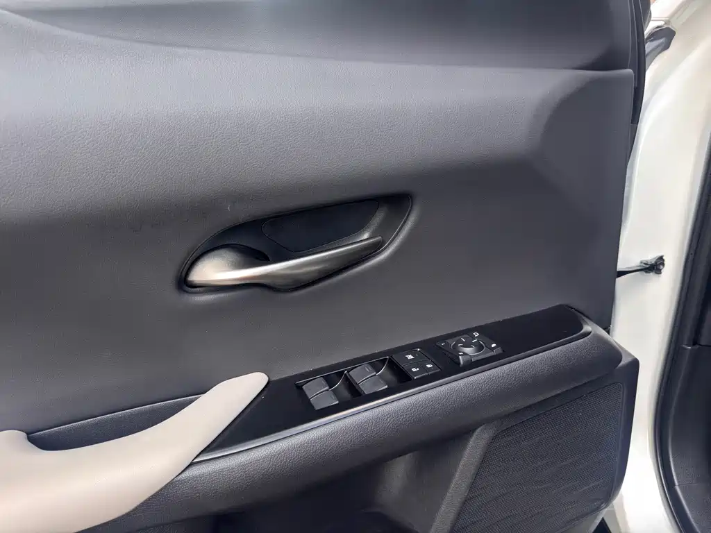 Lexus UX New Energy — фото 13