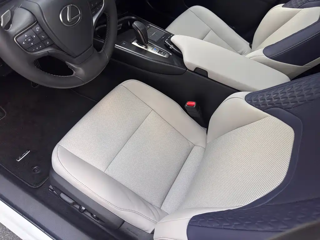 Lexus UX New Energy — фото 15