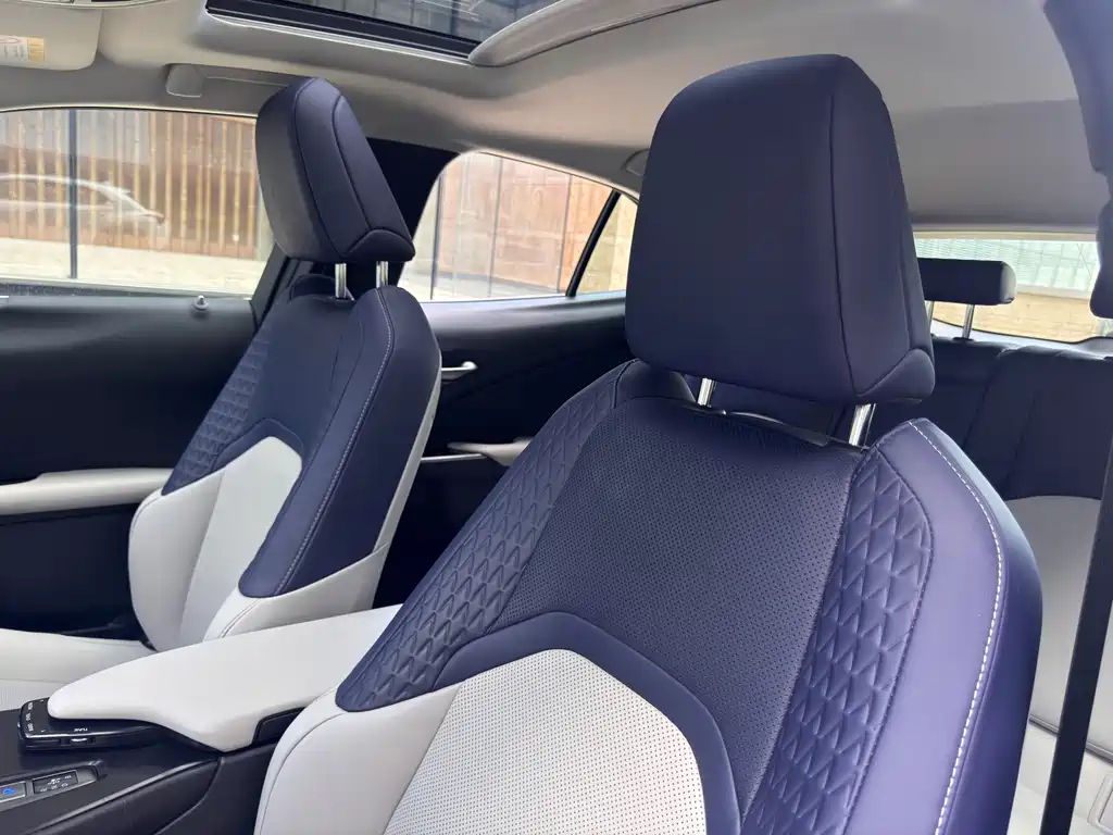Lexus UX New Energy — фото 19