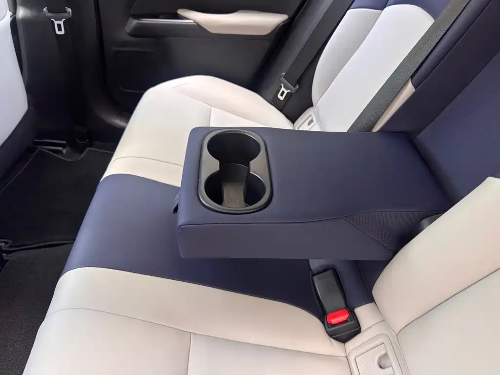 Lexus UX New Energy — фото 20