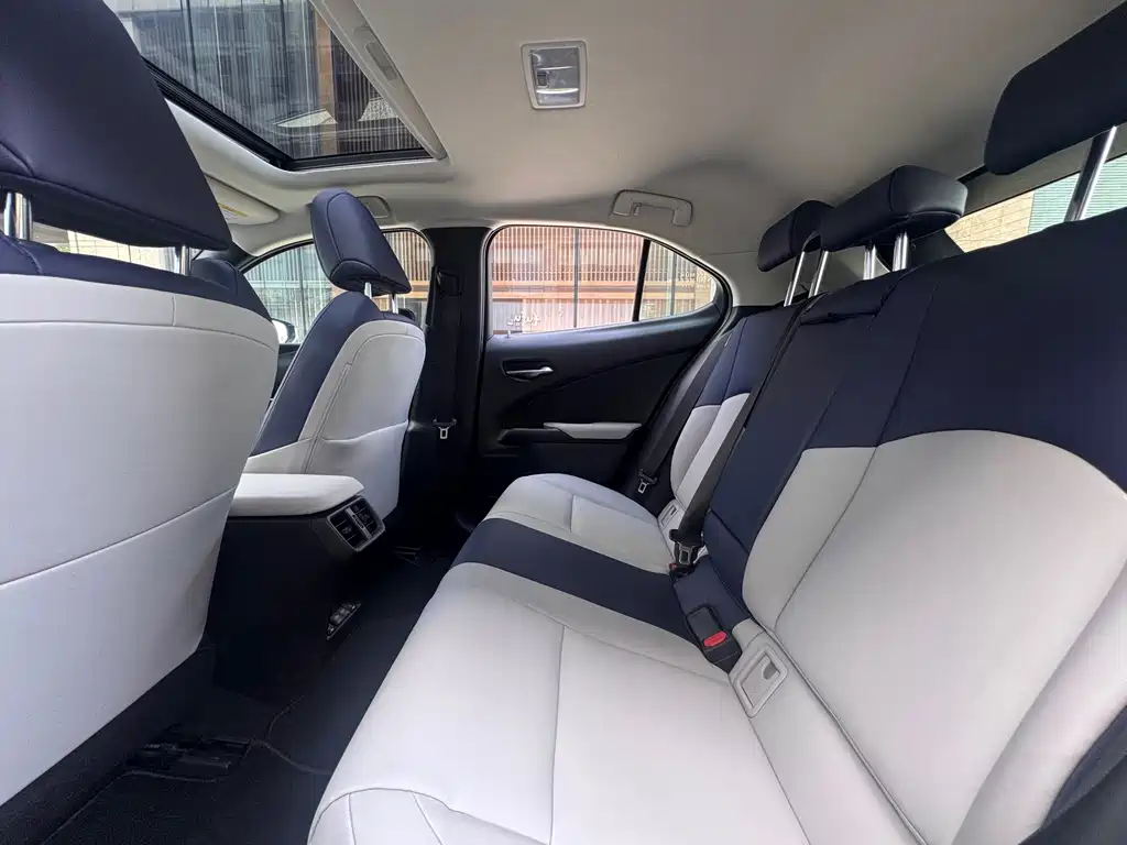 Lexus UX New Energy — фото 21