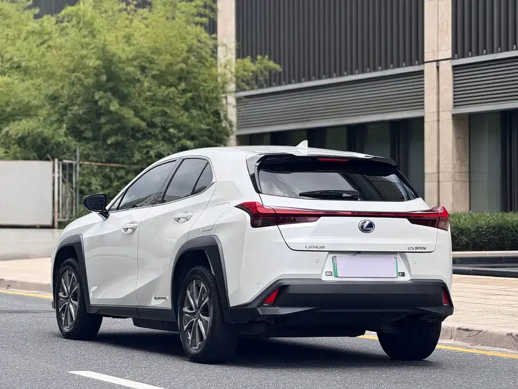Lexus UX New Energy — фото 4