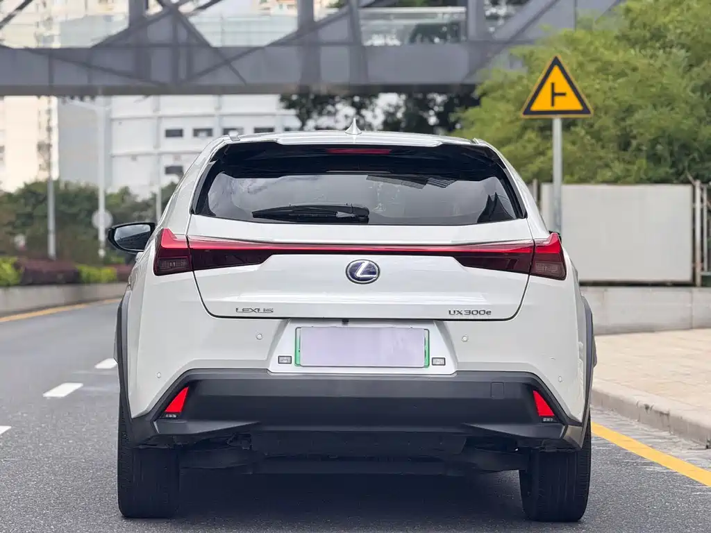 Lexus UX New Energy — фото 5