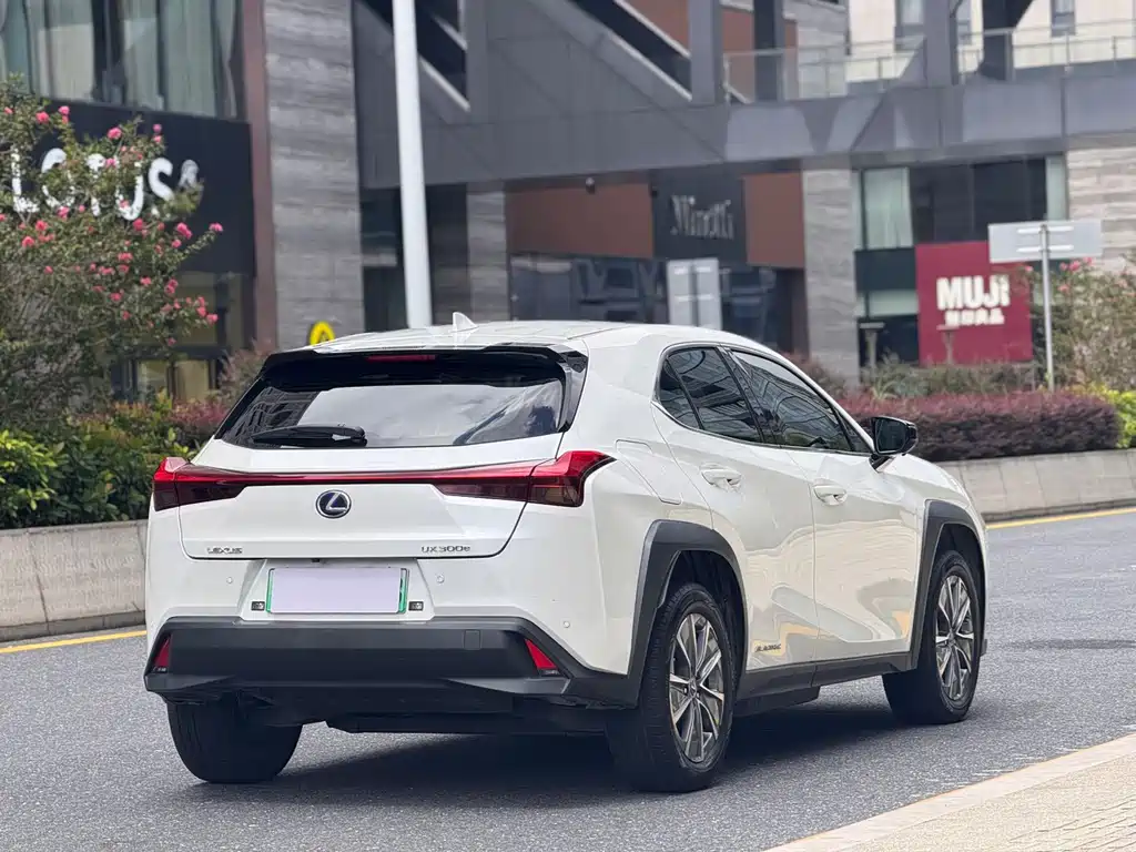 Lexus UX New Energy — фото 6