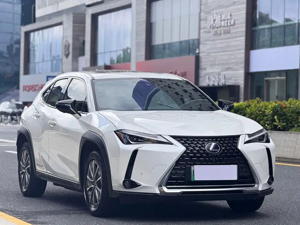 Lexus UX New Energy — фото 7