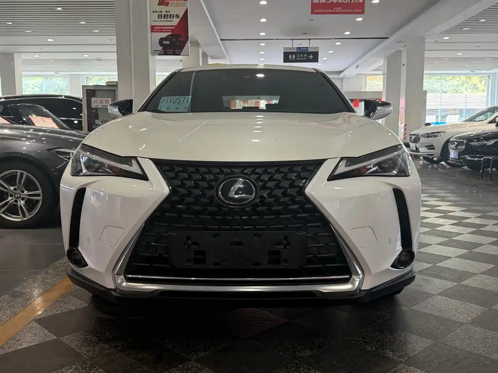 Lexus UX New Energy — фото 2