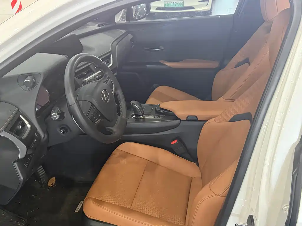 Lexus UX New Energy — фото 6