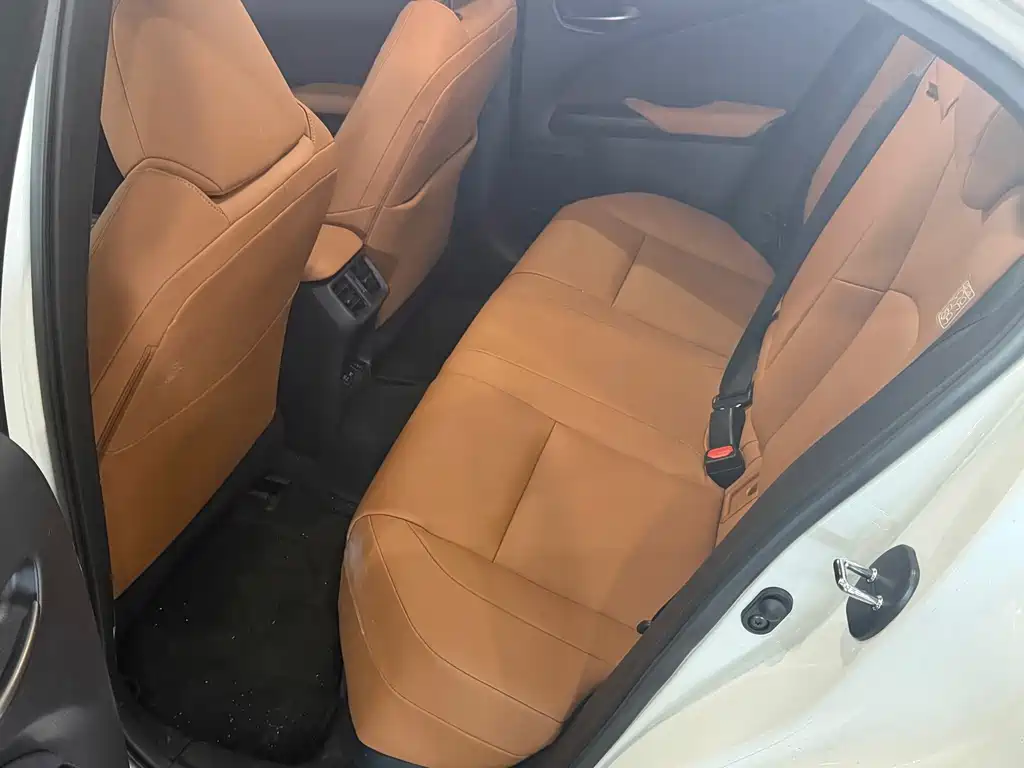 Lexus UX New Energy — фото 8