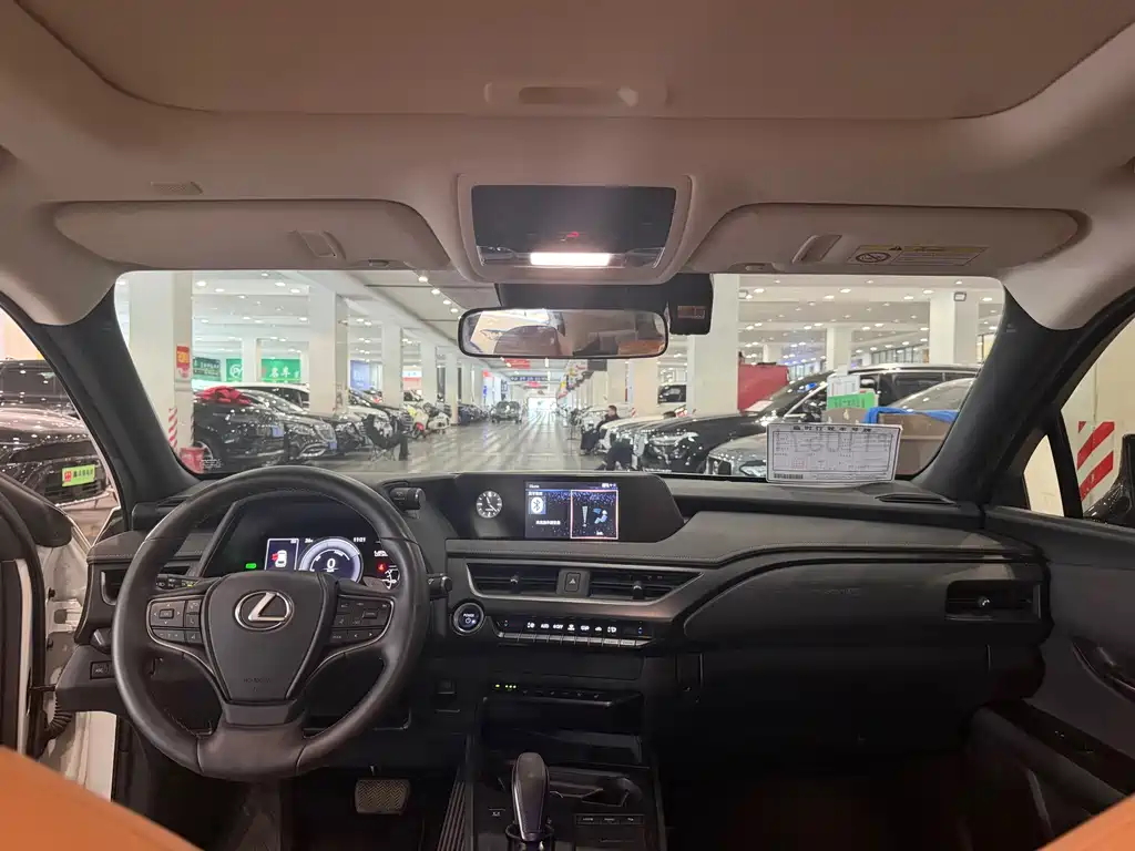 Lexus UX New Energy — фото 10