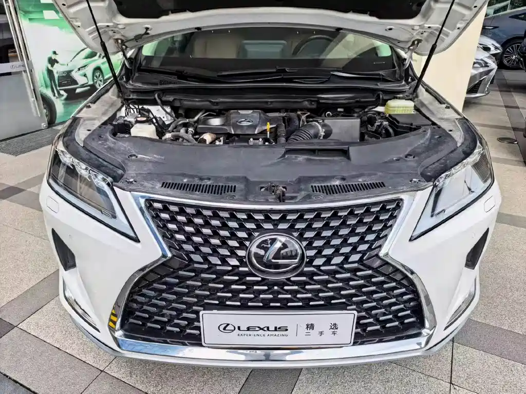 Lexus RX — фото 8