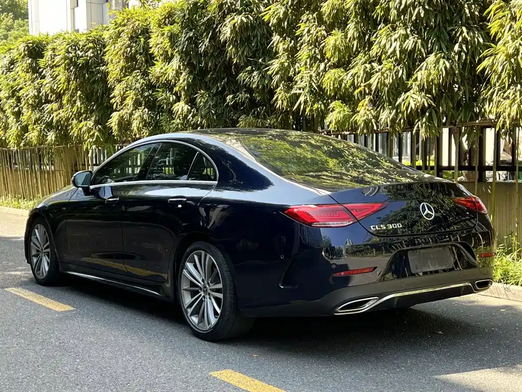 Mercedes-Benz CLS — фото 4