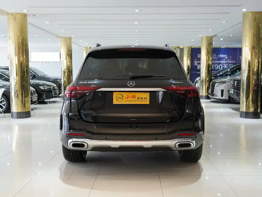 Mercedes-Benz GLE (Import) — фото 18