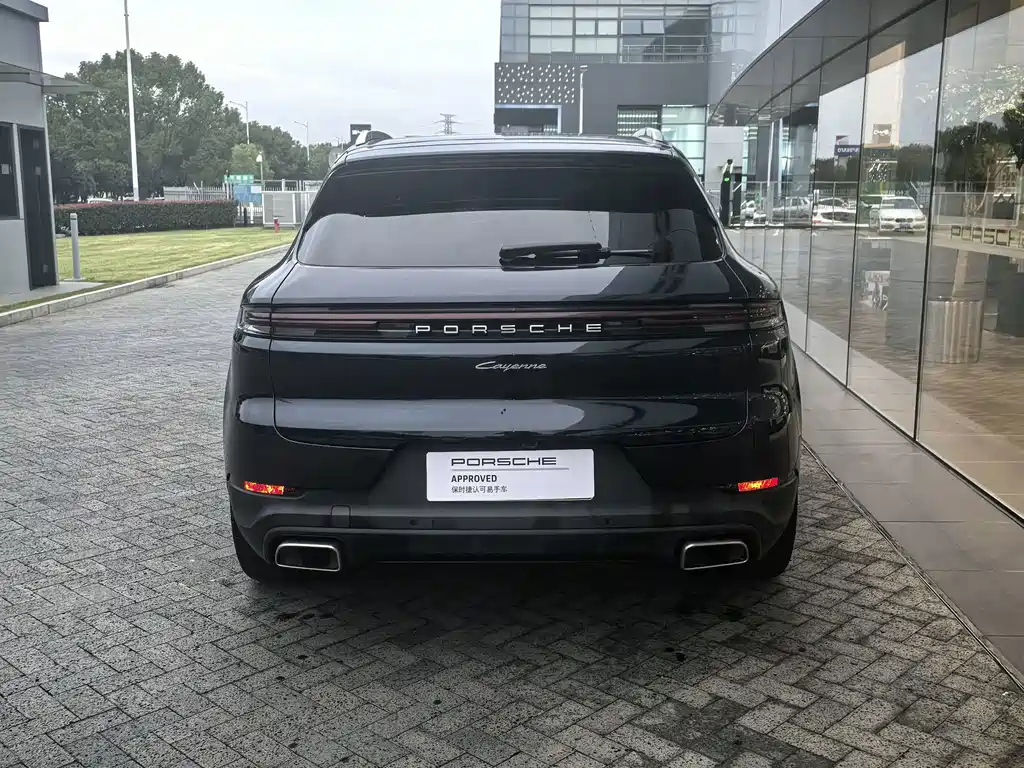 Porsche Cayenne Hybrid — фото 13