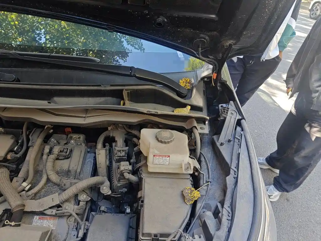 Toyota Granvia — фото 21