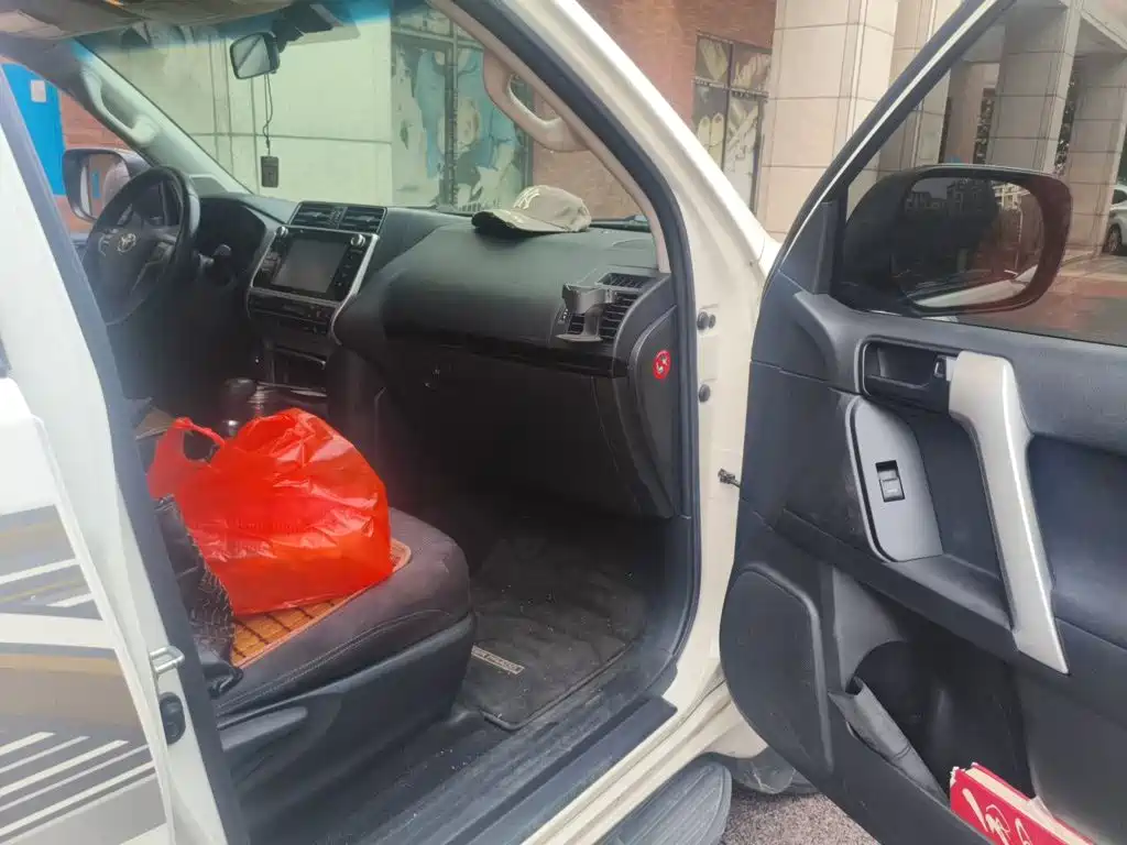 Toyota Prado — фото 19