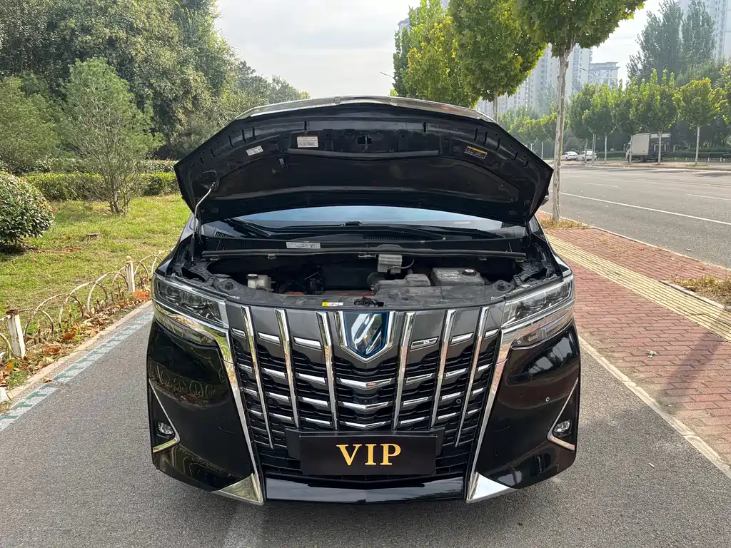 Toyota Alphard — фото 10