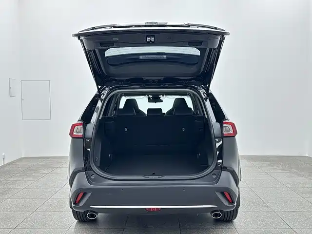 Toyota Wildlander — фото 15