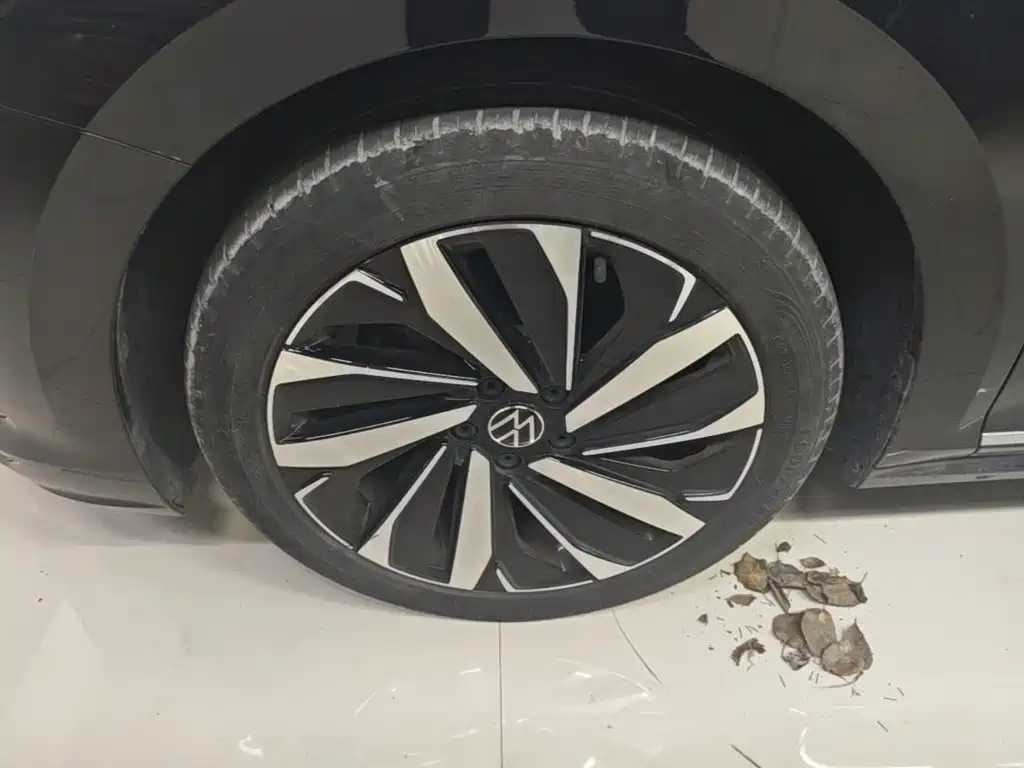 Volkswagen Passat — фото 22