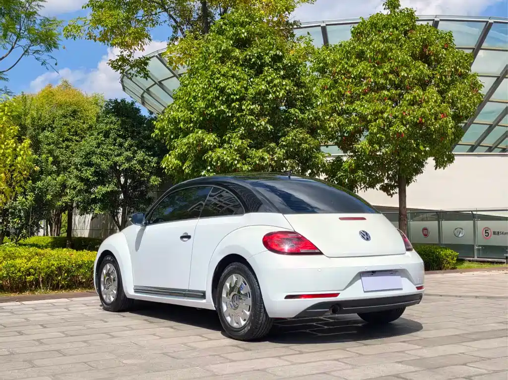 Volkswagen Beetle — фото 5