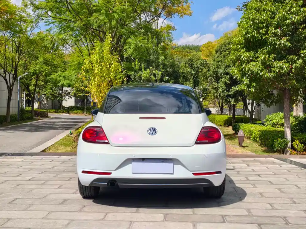 Volkswagen Beetle — фото 6
