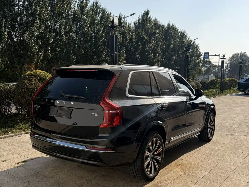 Volvo XC90 — фото 6