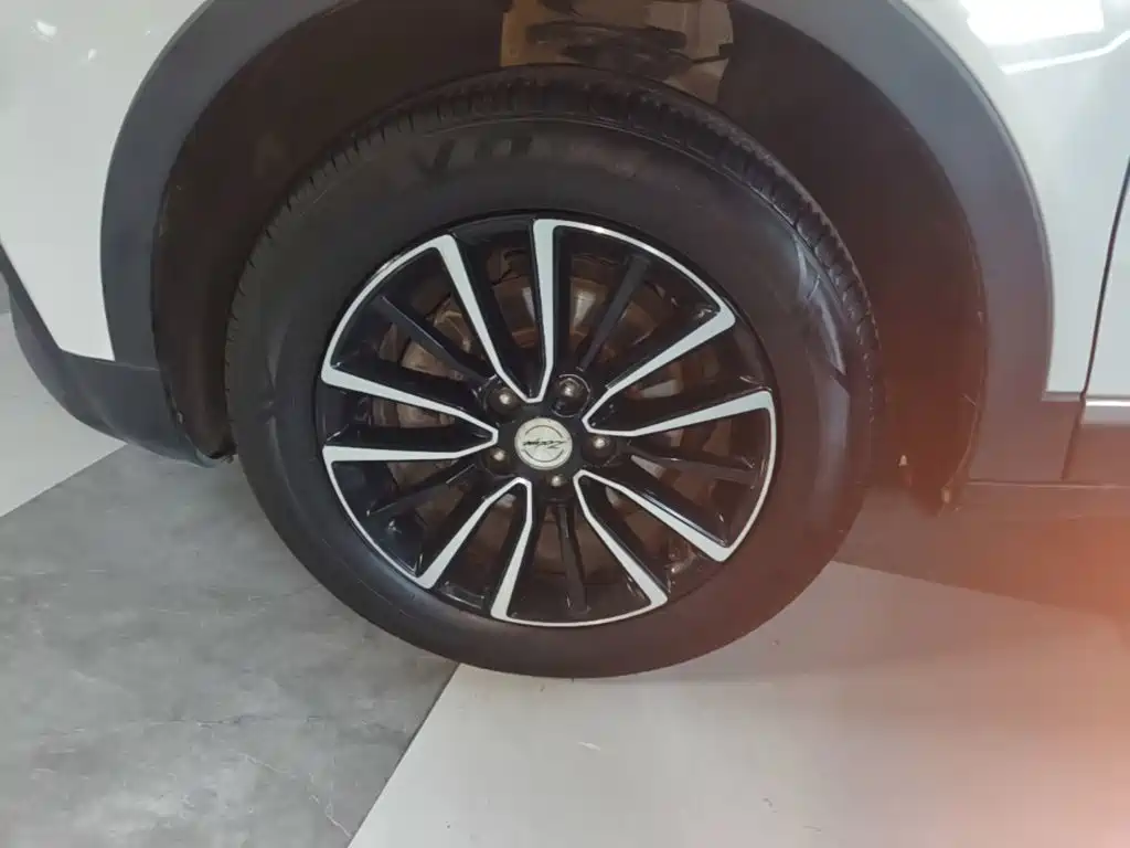 Zotye Zotye T500 — фото 22
