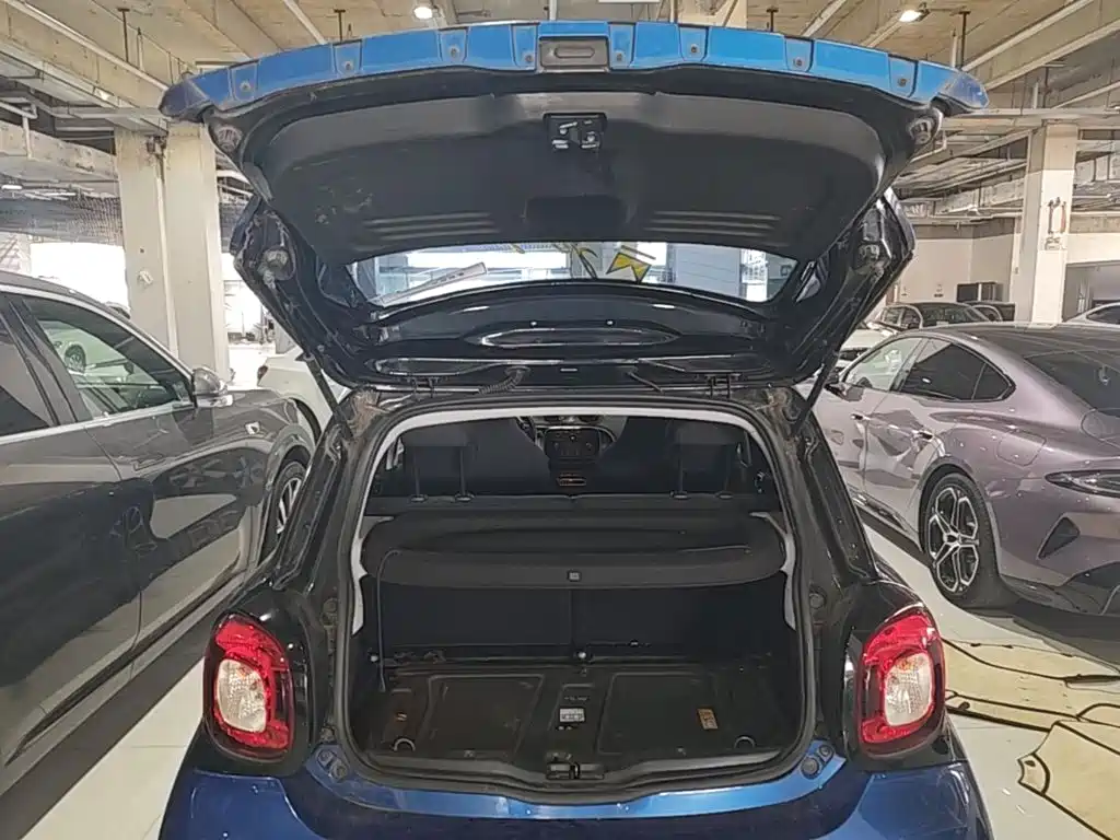 smart Smart Forfour — фото 18