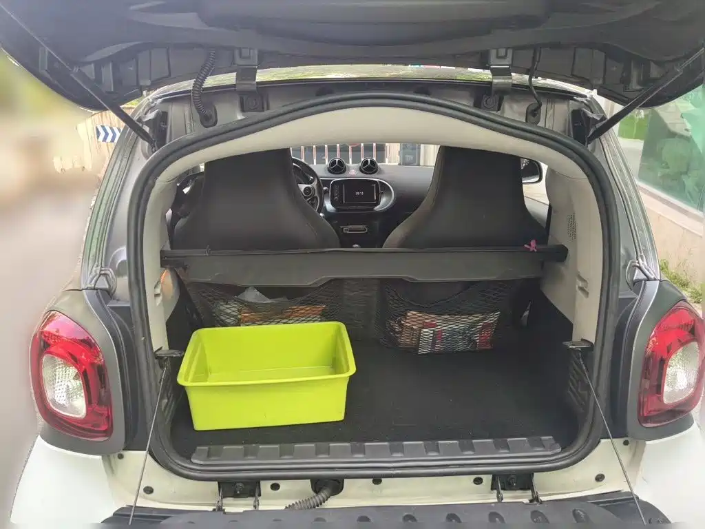 smart Smart Fortwo — фото 20