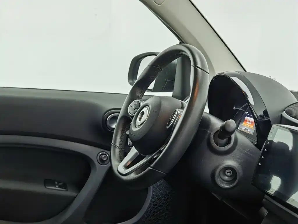 smart Smart Fortwo — фото 22