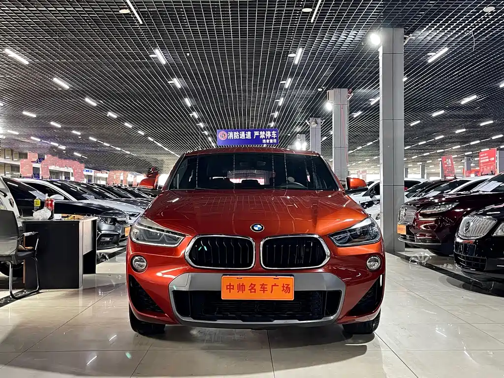 BMW X2 (Import) — фото 2