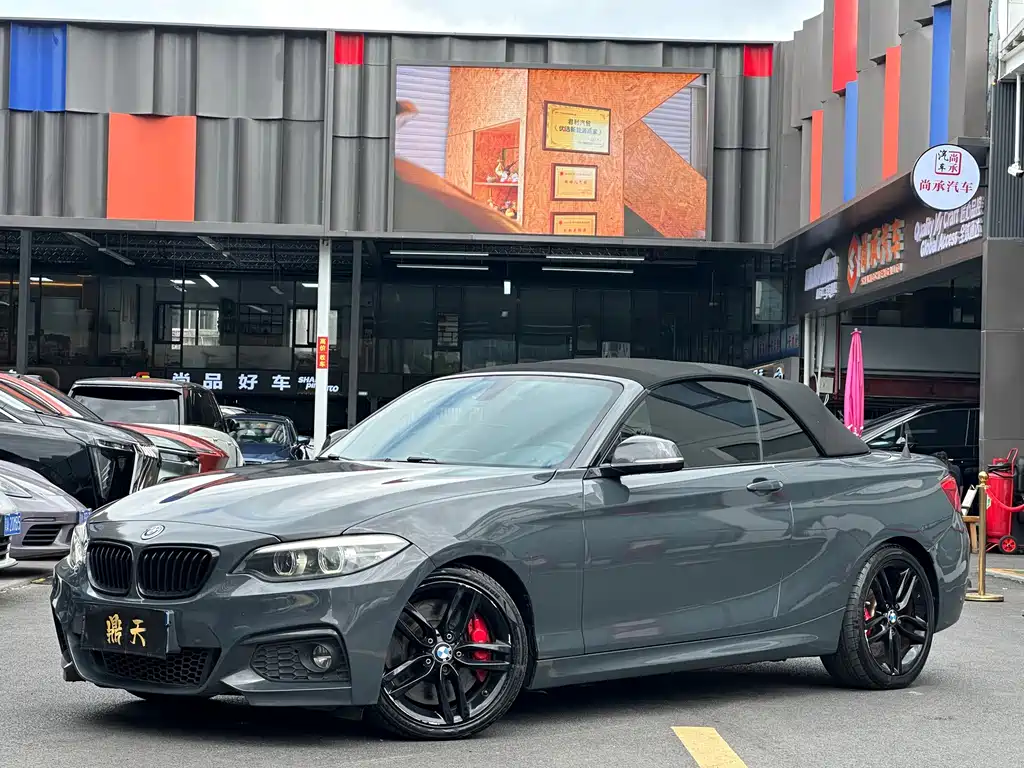 BMW 2 Series (Import) — фото 5