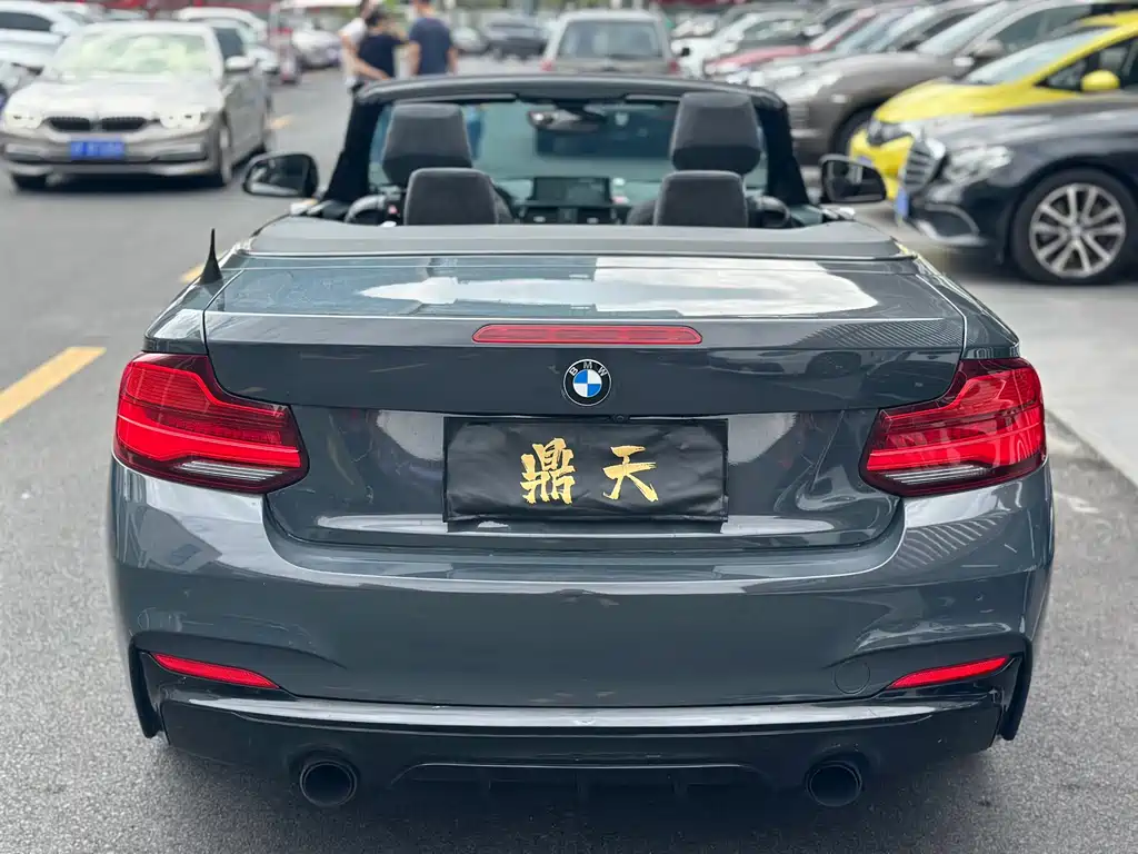 BMW 2 Series (Import) — фото 9