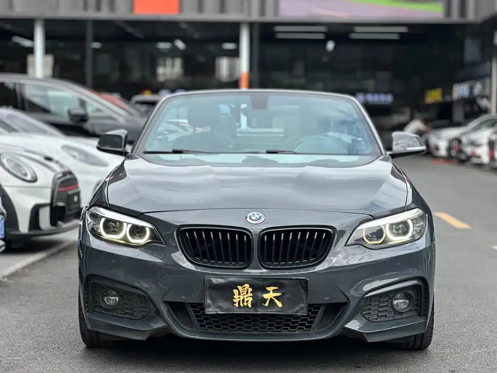 BMW 2 Series (Import) — фото 10