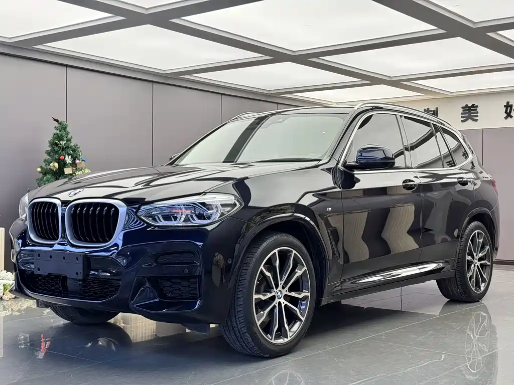 BMW X3 — фото 2