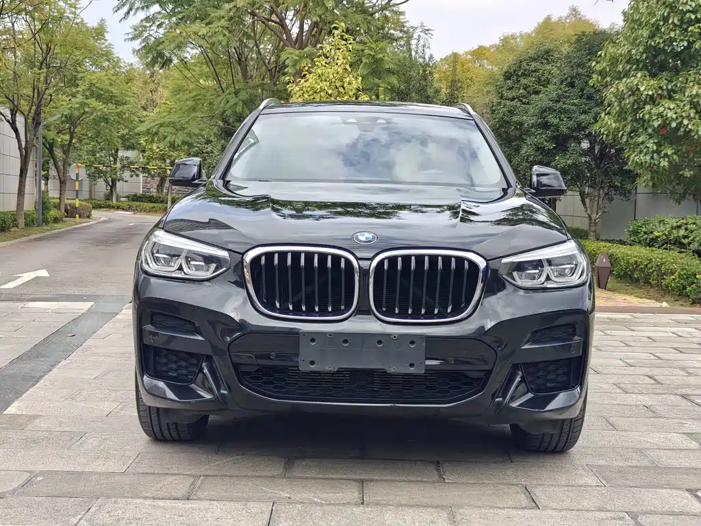 BMW X3 — фото 2