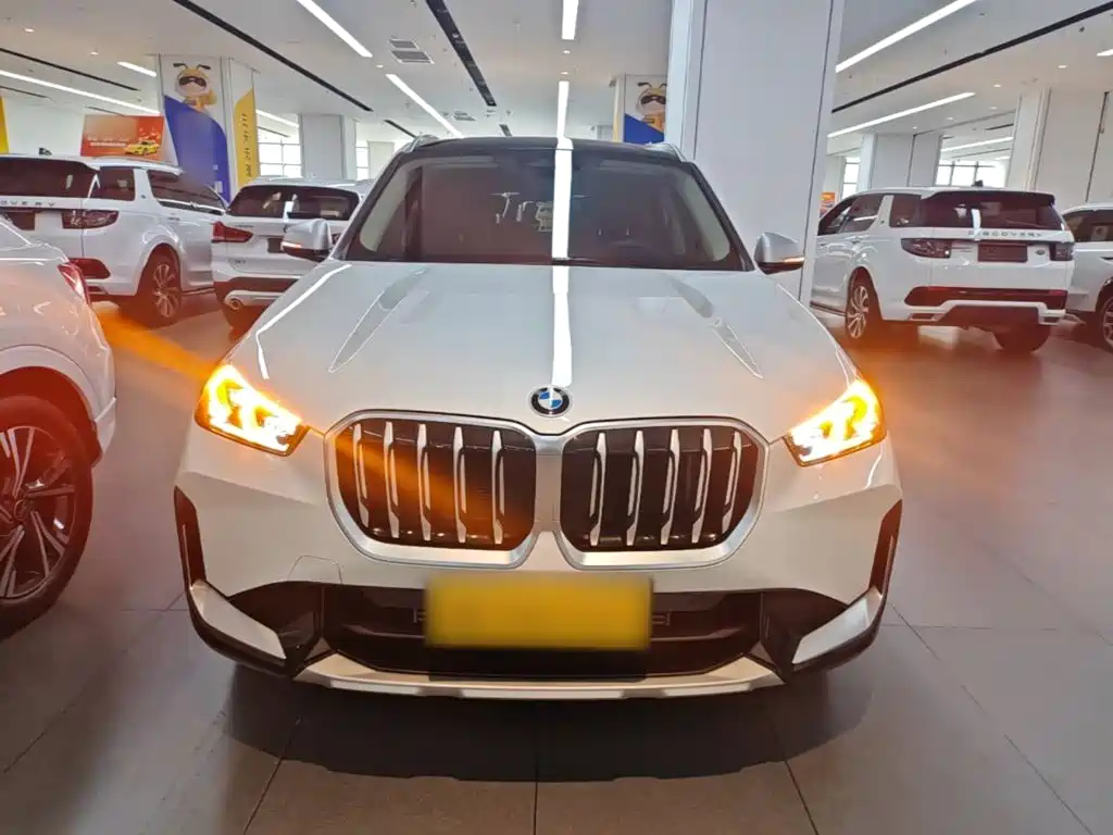 BMW X1 — фото 2