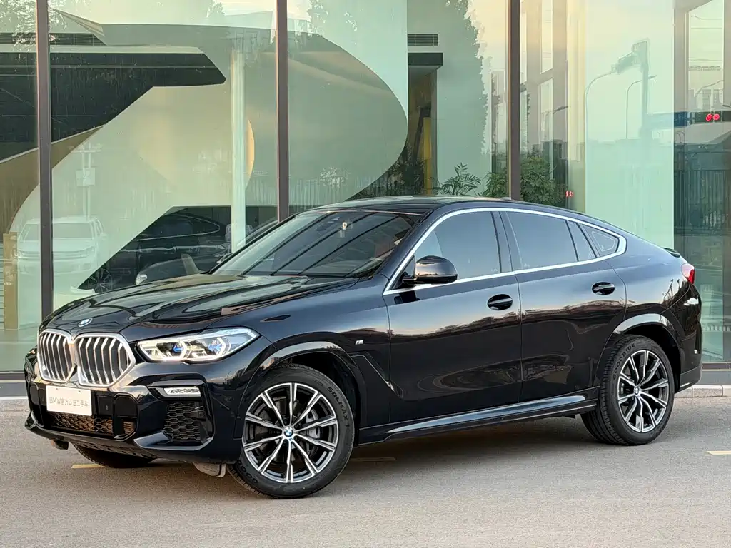 BMW X6 — фото 2