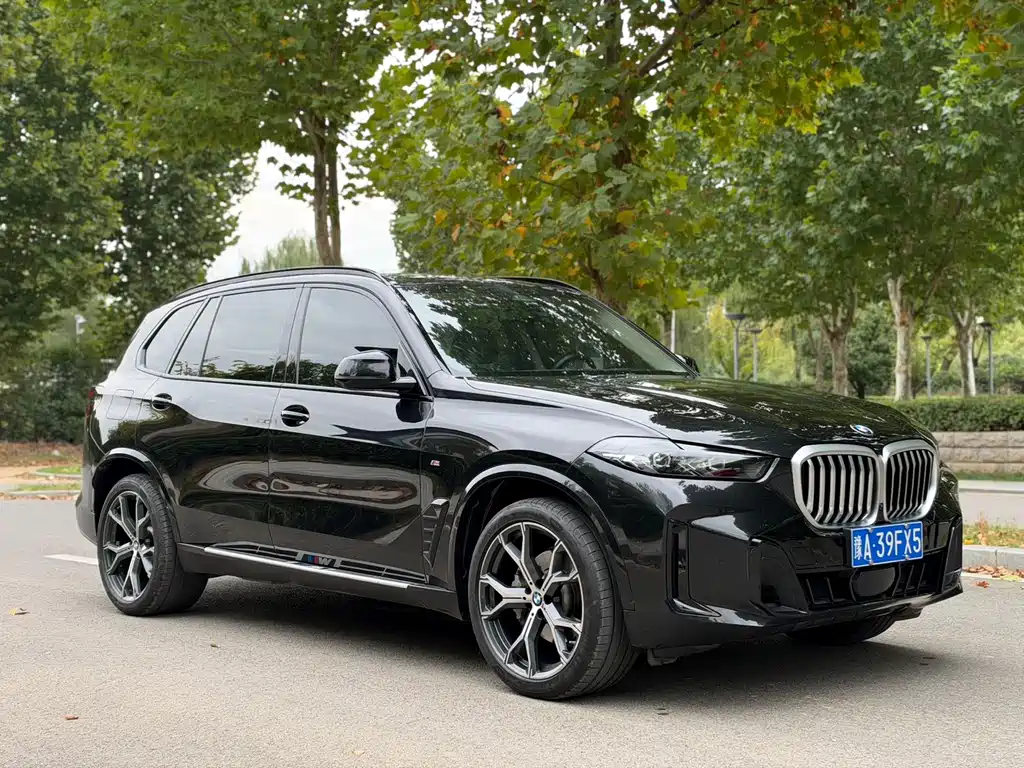 BMW X5 — фото 3