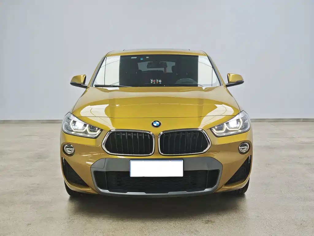 BMW X2 (Import) — фото 2