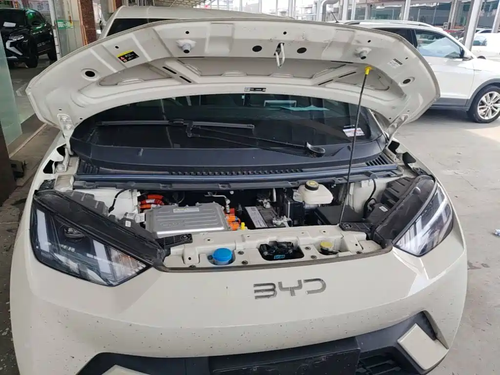BYD Seagull — фото 19