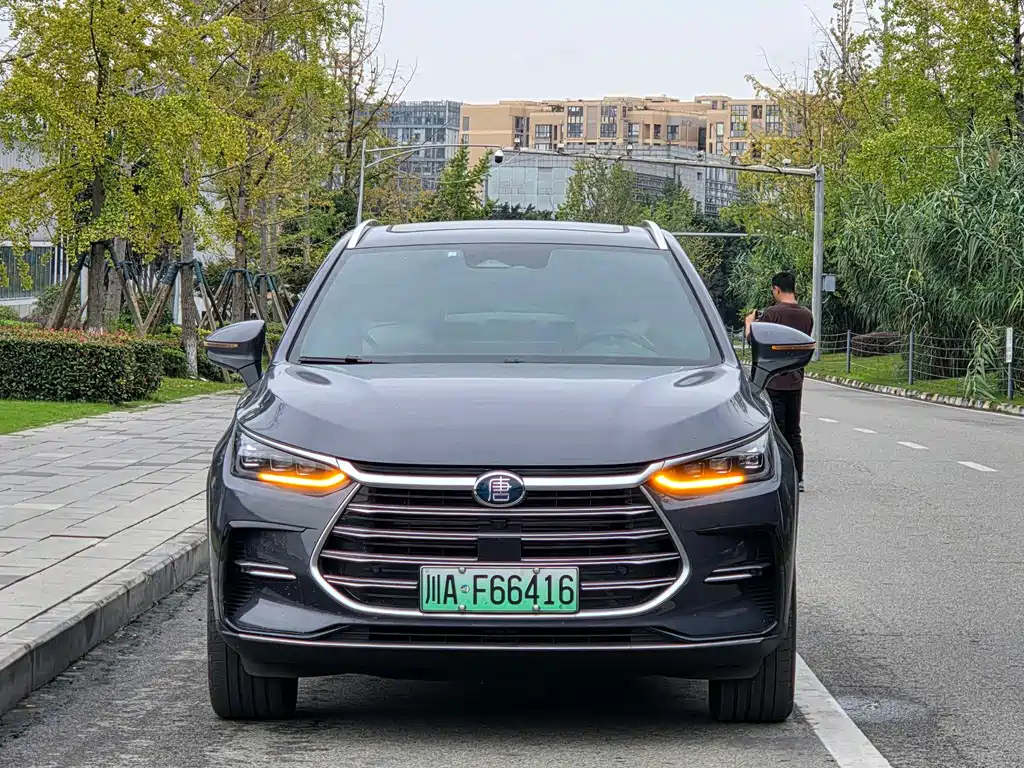 BYD Tang New Energy — фото 2