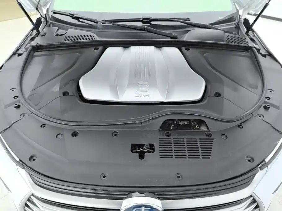 BYD Tang New Energy — фото 10