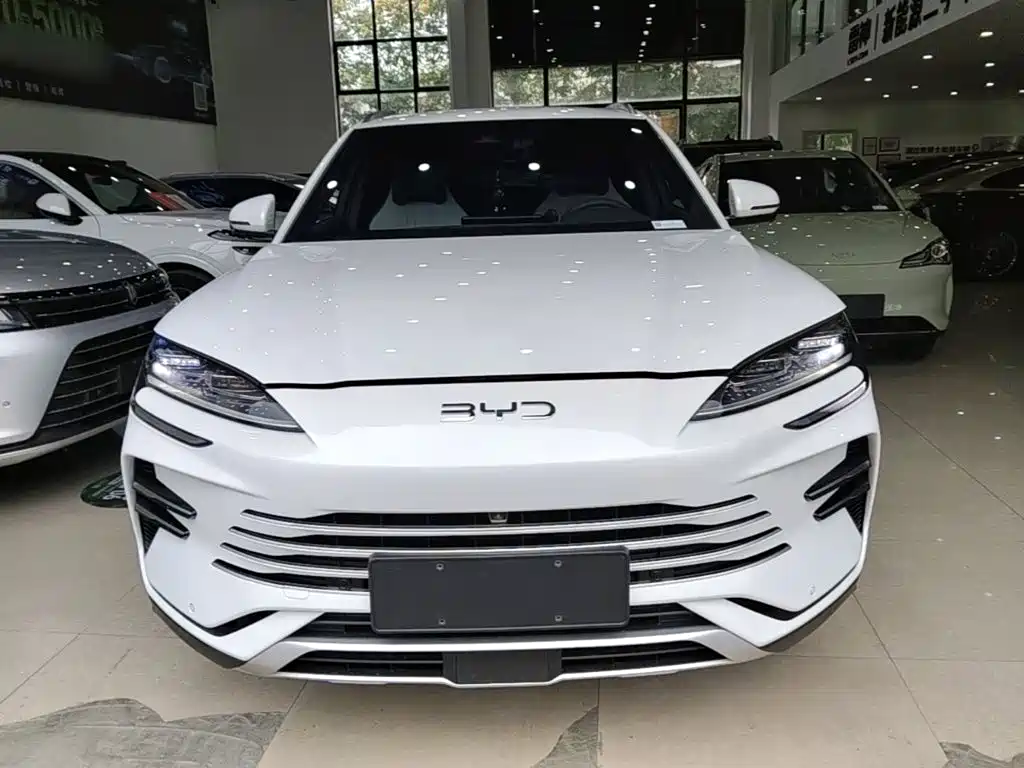 BYD PLUS New Energy — фото 2