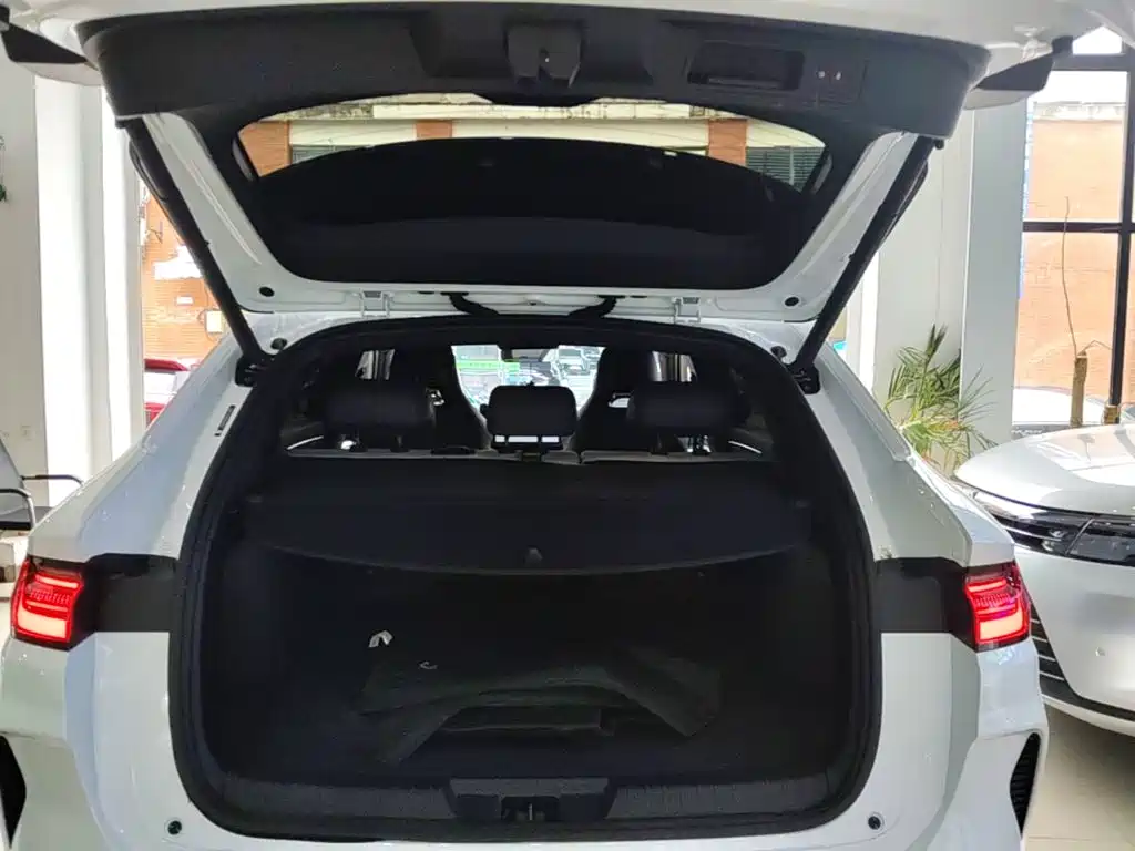 BYD PLUS New Energy — фото 18