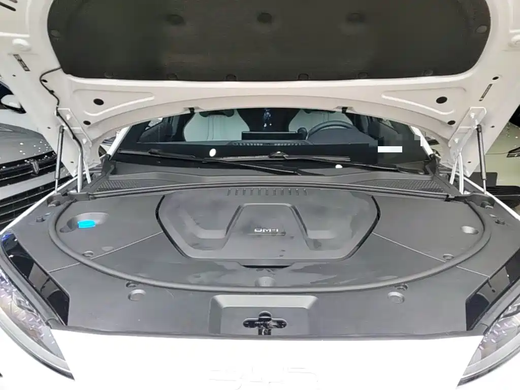 BYD PLUS New Energy — фото 19