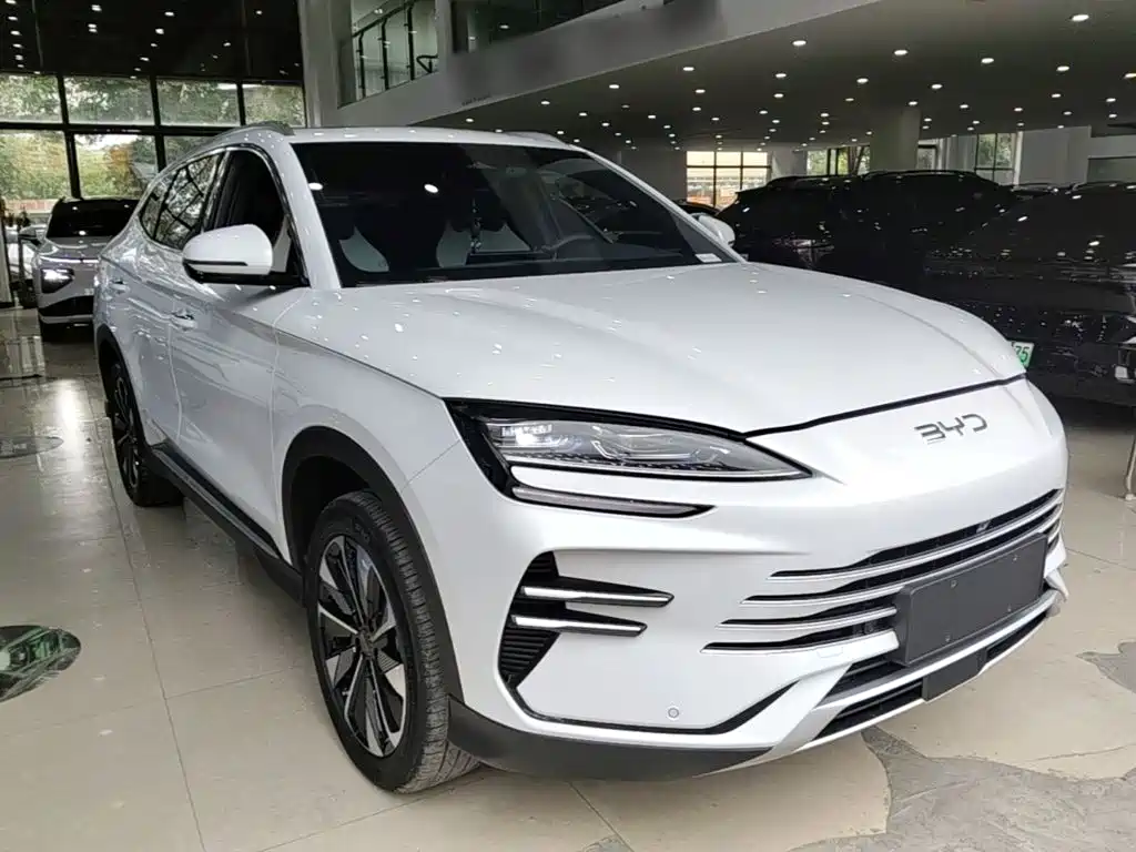 BYD PLUS New Energy — фото 3