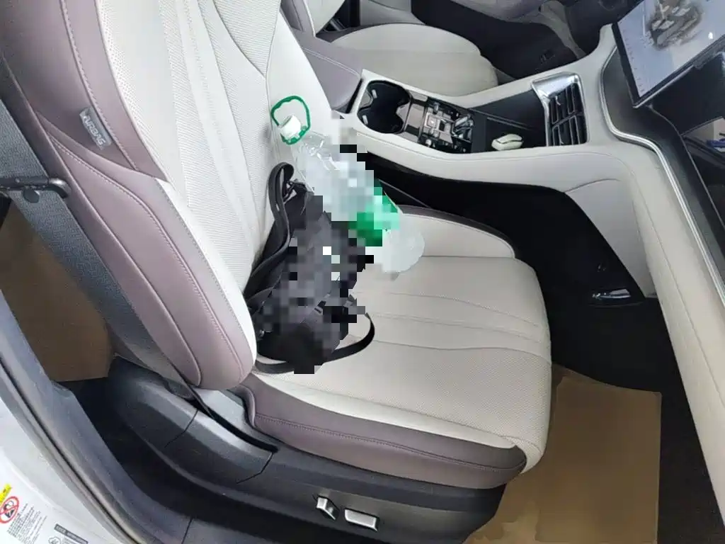 BYD PLUS New Energy — фото 24