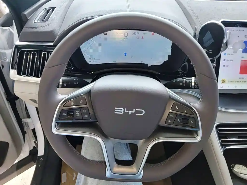 BYD PLUS New Energy — фото 10