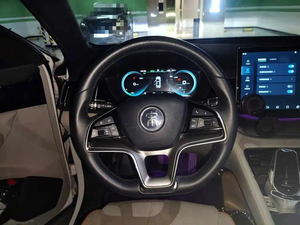 BYD PLUS New Energy — фото 6